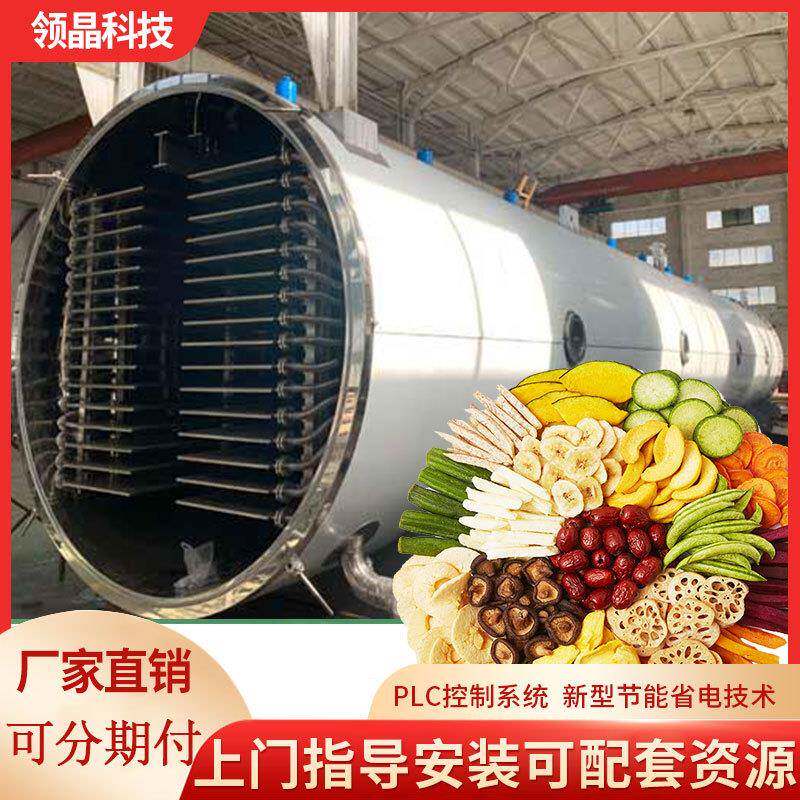 广东晶华真空冻干机大型设备香蕉片柠檬花茶鱼肉类海鲜商用大尺寸