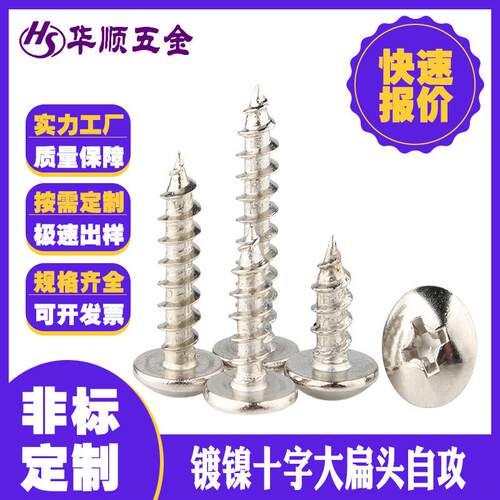 非标定制镀镍大扁头自攻螺丝镀锌TA 大伞头蘑菇头尖尾螺钉
