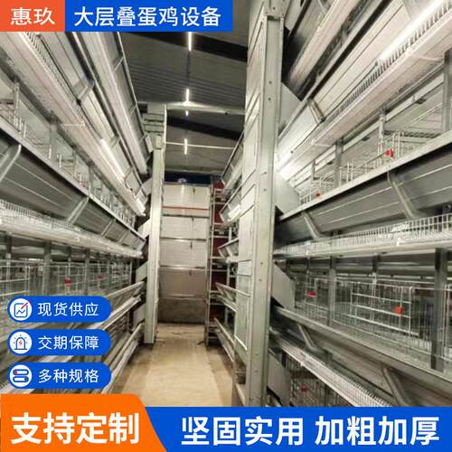 大层叠蛋鸡养殖设备层叠式蛋鸡笼农牧自动清粪笼定制机械全自动