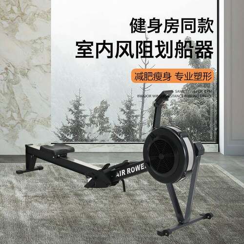 风阻划船机家用划船器折叠智能风阻滑雪机C2专业健身房测功仪