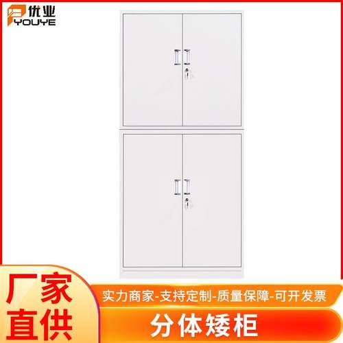 办公室简约多层文件储物分体矮柜钢制带锁家用杂物收纳柜