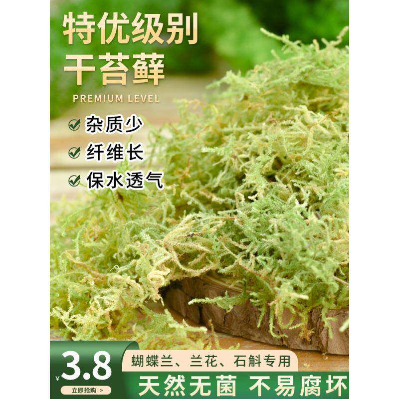 干苔藓水苔蝴蝶兰花专用营养土植物爬宠乌龟冬眠垫材铁皮石斛种植
