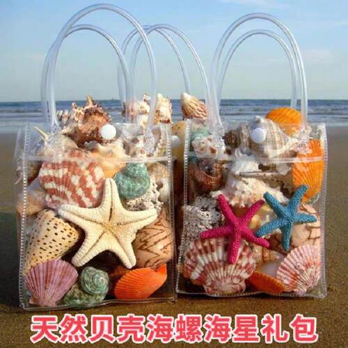 天然贝壳海螺礼盒套餐仿真珊瑚鱼缸水族造景儿童玩具礼物创意礼品