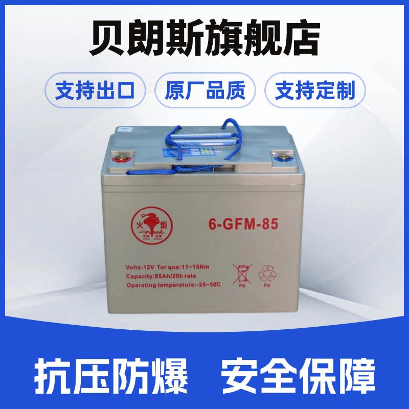 Torch/火炬蓄电池6-GFM-8512V85Ah免维护动力电池全国联保