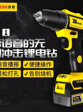 波斯工具12v/2.0Ah手持式手枪钻BS661111 无刷锂电钻