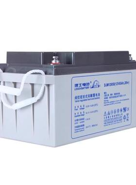 LEOCH理士电池DJM1265S 12V65AH