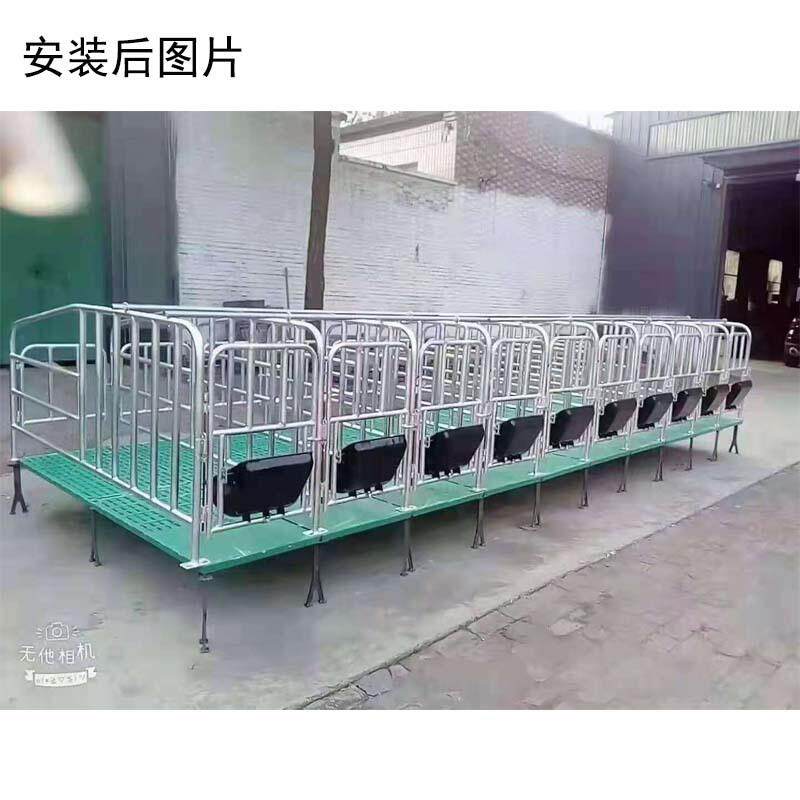 母猪产床保育两用落地式母猪限位栏定位栏复合板产床养殖设备加厚