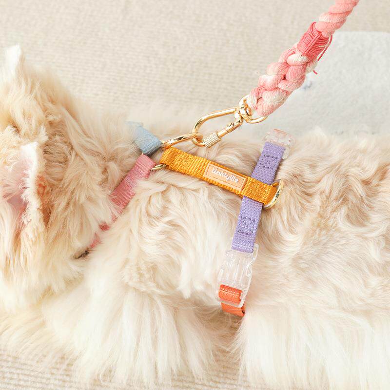 tinklylife 狗狗工字型胸背带 牵引绳防爆冲背心猫猫牵引宠物用品