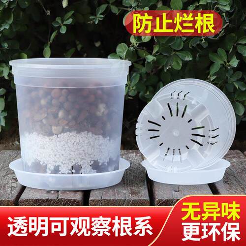蝴蝶兰专用花盆内盆兰花塑料透明大号加仑树脂加厚花卉内胆青山盆