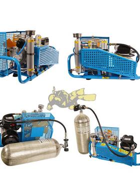 国产HC-100型潜水充气泵整机呼吸器空呼压缩机COLTRI出口专用