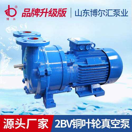 水环式真空泵耐腐蚀耐磨损真空泵大吸力工业用厂家供应 2bv真空泵