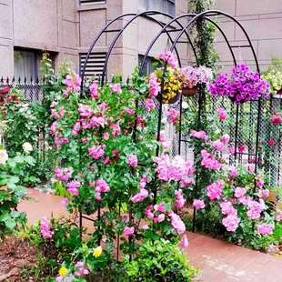 花支架防銹防燙庭院花園架子 鐵藝花架拱門爬藤架庭院別墅月季