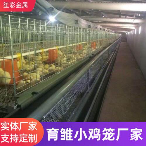 热镀锌三四层叠立式带粪盘水箱小鸡笼设备育雏养殖鸡笼家禽鸡笼