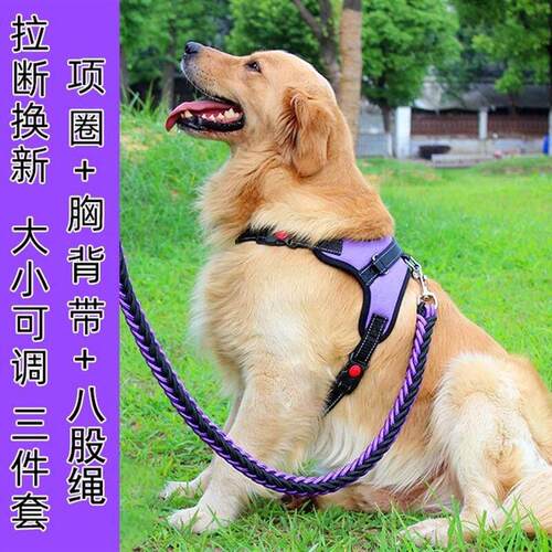 Dog leash medium large dogs walking harness collar chain set