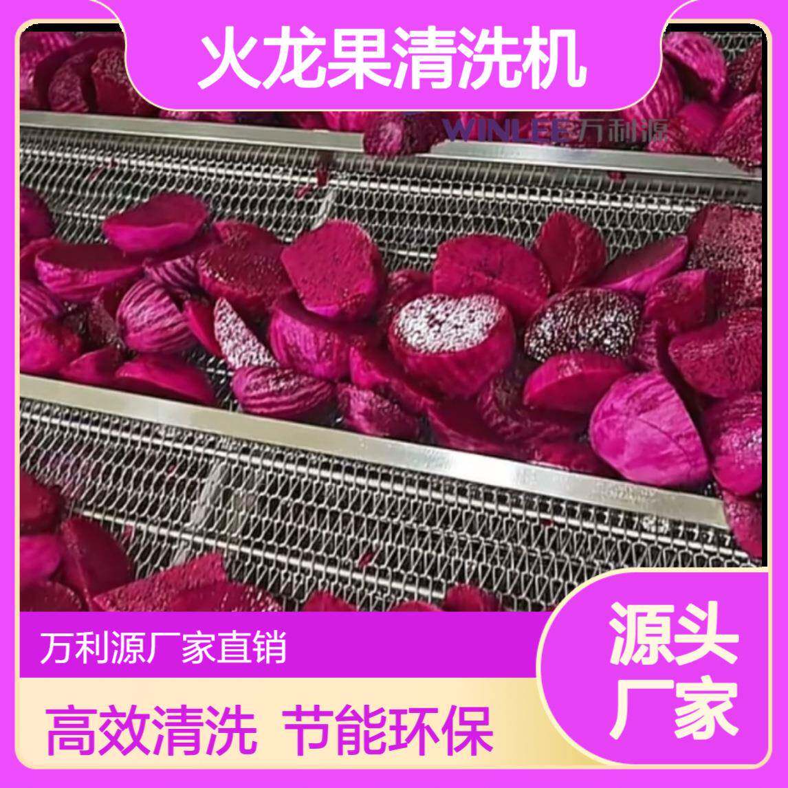 全自动火龙果气泡清洗机水果鼓泡清洗设备果蔬洗菜机