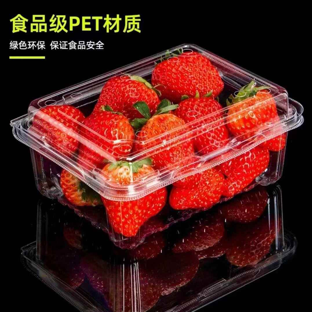 商用水果盒一次性透明带盖500克两斤三斤装包装盒水果新鲜