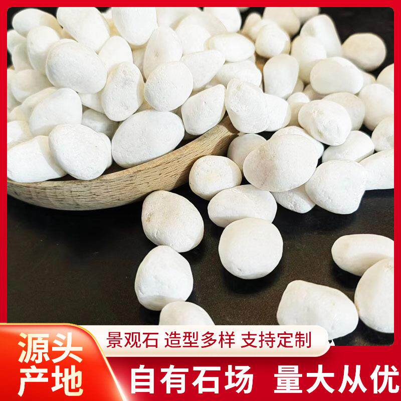 鹅卵石园林白石子白色石子造景白石头庭院厂家枯山水机制砾石