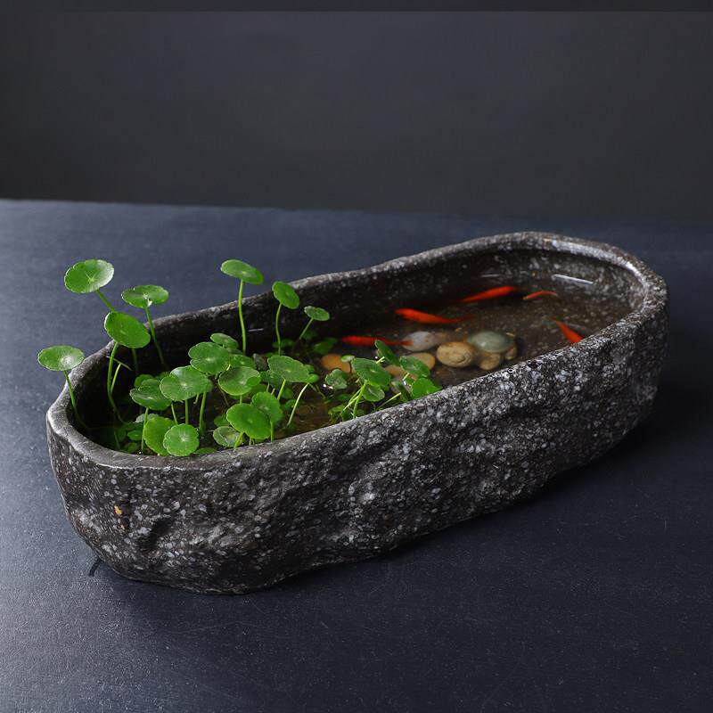 新疆包邮大口径无孔水仙花盆陶瓷睡莲碗莲特大号水培花器养鱼鱼缸