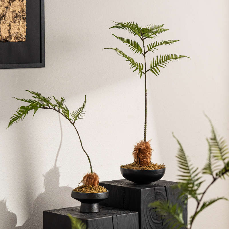 仿真案头文竹中式景观新植物造景装饰品室书房花摆件微茶艺