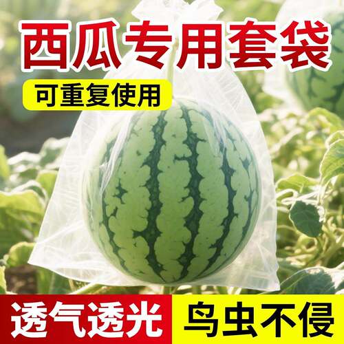 西瓜套袋防鸟防虫专用袋透气透光冬瓜水果瓜果套袋果袋防果蝇好物
