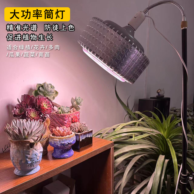 核管家多肉补光灯筒灯家用上色防徒长室内大棚绿植花卉育苗全光谱