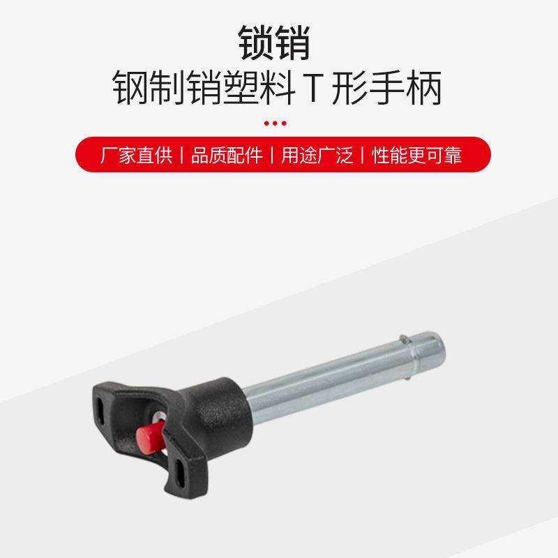 Elesa Ganter伊莉莎冈特 GN 114.7 锁销 钢制销塑料T形手柄带轴向