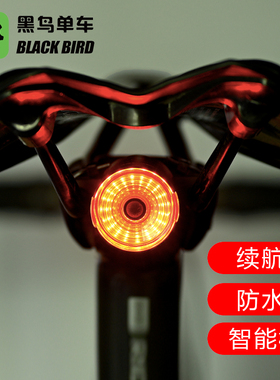 黑鸟（Blackbird）山地公路车智能尾灯防水自行车感应刹车夜骑灯