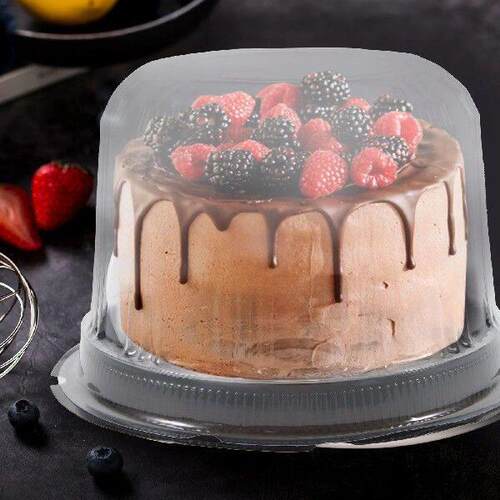 20 Pcs Packing Box Cake Cheesecake Cold Shipping Boxes