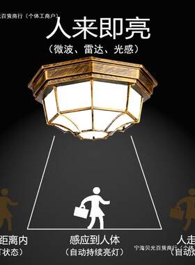 人体感应吸顶灯户外防水防潮室外门口阳台庭院过道房檐入户灯led