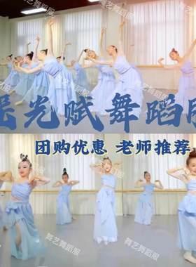 瑶光赋舞蹈服有美人兮表演服芒种演出服中国风身韵纱衣飘逸古典舞