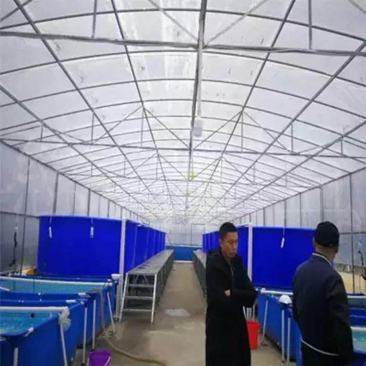 养殖鱼虾苗PE桶石斑鱼养殖塑料圆形桶锥底孵化桶