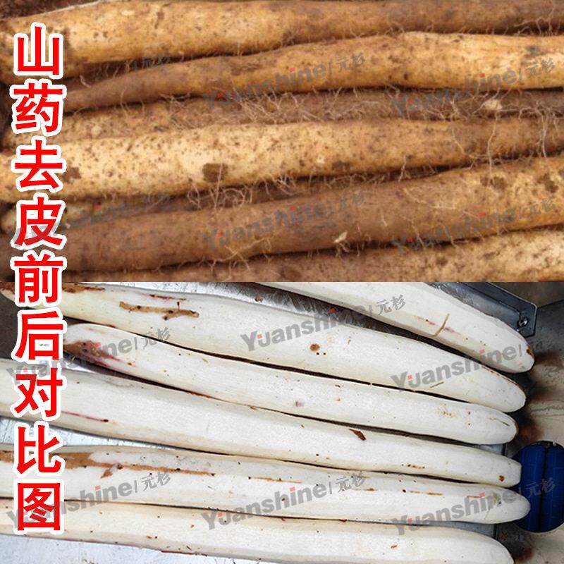 全自动莴苣削皮机 中央厨房胡萝卜削皮机 连续式牛蒡山削皮机