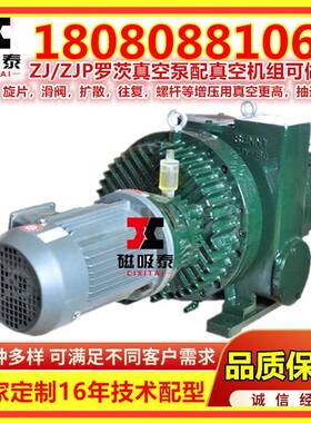 吉林3KW罗茨泵150L/S罗茨真空泵ZJP/ZJ溢流阀罗茨式真空机组系统