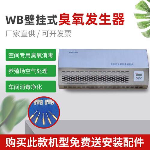WB壁挂式臭氧设备 一体式臭氧设备 臭氧机工业废气处理臭氧发生器