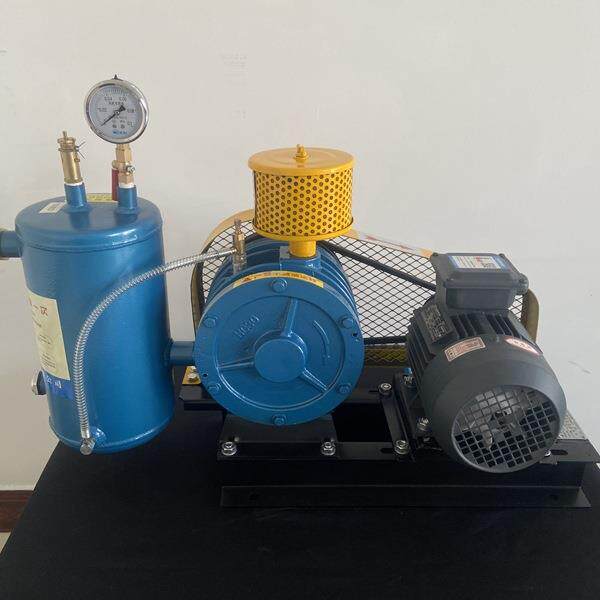 厂家回转式鼓风机 污水处理曝气机 滑片式鼓风机回转风机