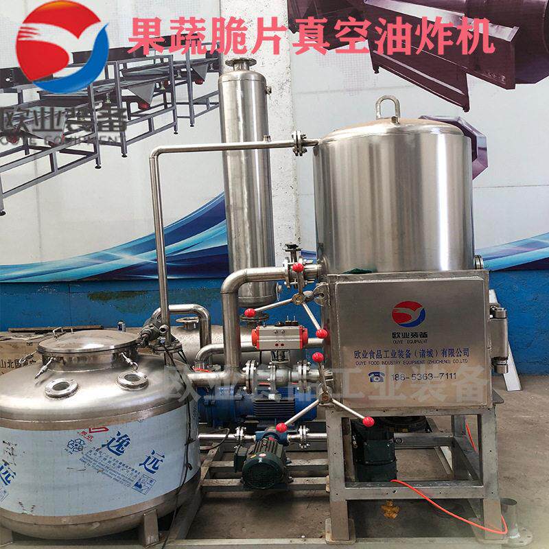 椰子脆低温真空油炸机果蔬脆片加工设备预制菜真空油炸机