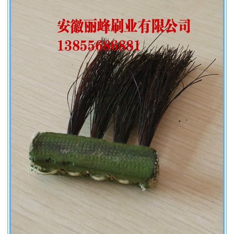 橡密封除软木毛刷条PVC工业DCO胶设备尘工机械条刷耐高温尼龙丝毛