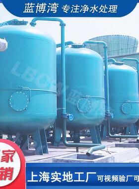 蓝博湾30吨除铁除锰设备地下井水除铁锰过滤器大型机械过滤器