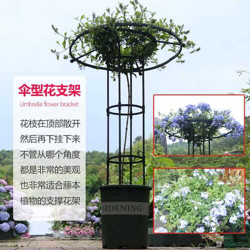 新款直销跨境货源园艺组装支架伞形月季玫瑰爬藤架户外攀藤架植物