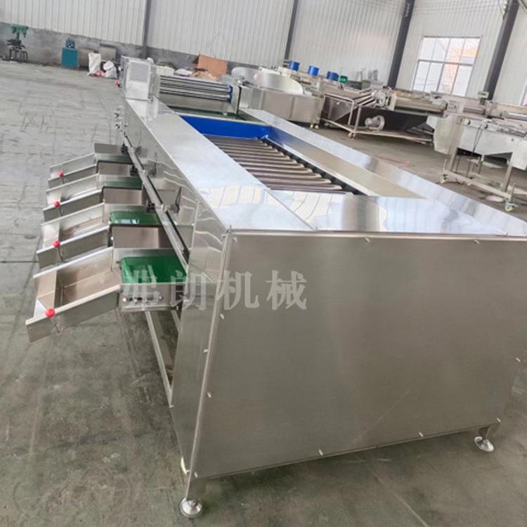 圣女果挑选机滚杠分级机荔枝大小分级机厂家直供脐橙柠檬分级机