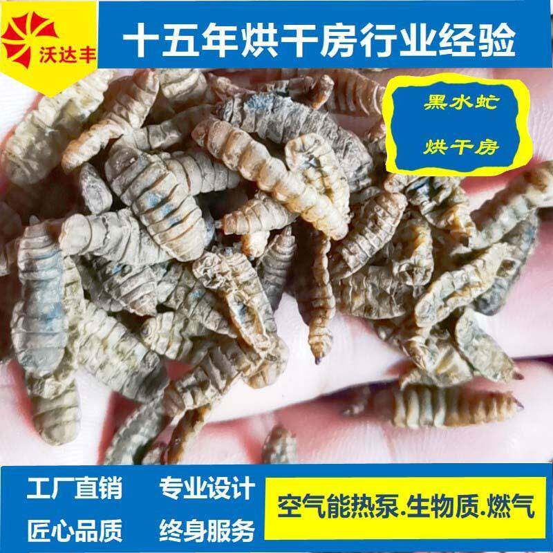 厂家直供黑水虻热泵烘干机、昆虫面包虫烘干箱、黄粉虫干燥设备