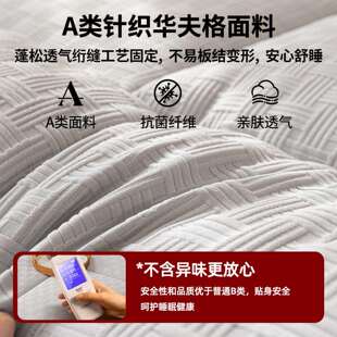 子酒店床单家用卧室软垫床褥垫垫褥加厚褥LZM 5902榻榻米睡垫宿舍