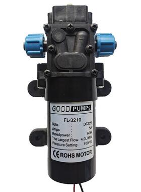 6V12V48V18V电动喷雾器泵24V60W4L回流隔膜泵4分泵直流螺纹泵