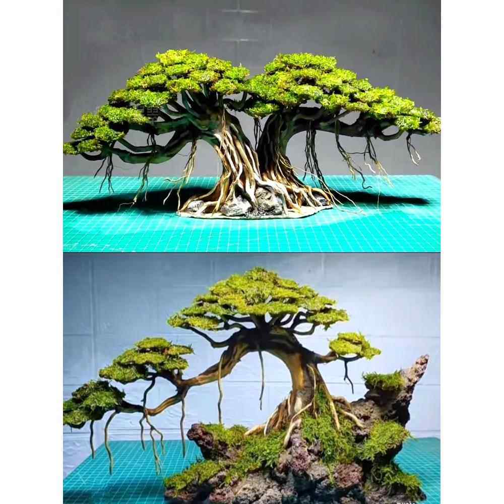 水族造景树巴西树莫斯树鱼缸树草缸造景组合天然装饰迎客松沉木树