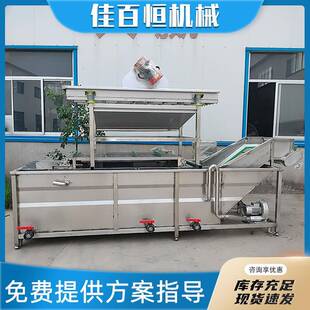 全自动气泡清洗机苹果梨橙子草莓葡萄清洗机小龙虾海鲜冲洗设备