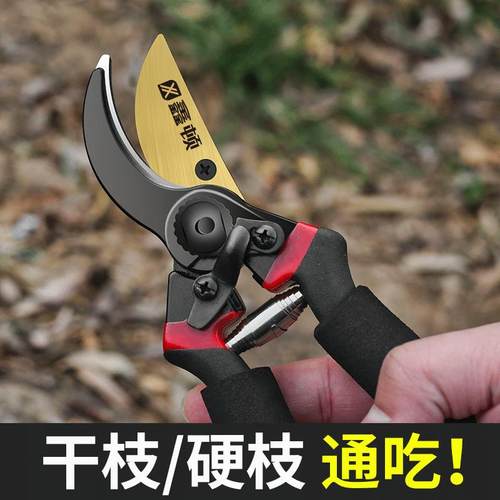 厂家供应 果树修枝剪园林树枝剪刀园艺剪花剪修剪专用粗枝剪子