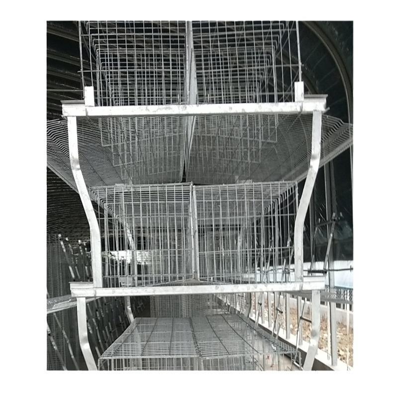 源头厂家四层H型热镀锌蛋鸡笼自动化养鸡设备鸡笼子养鸡成套设备