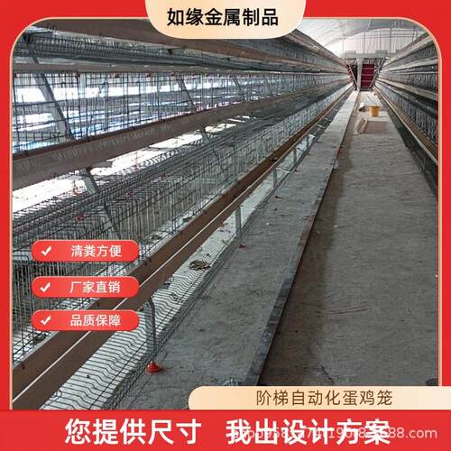 阶梯蛋鸡笼加背负式喂料机捡蛋机全自动式养殖蛋鸡笼多层阶梯笼