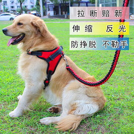 狗牵引绳夏天大型犬可伸缩背心，式狗绳中型项圈，马犬背带狗链牵引带