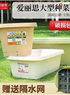 爱丽思花盆长方形大型种菜盆蔬菜种植箱树脂塑料阳台种花种菜花盆